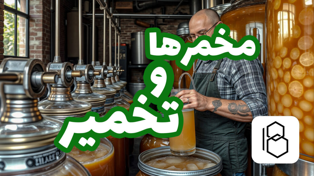 تخمیر، مخمر ها، نوشیدنی های تخمیری